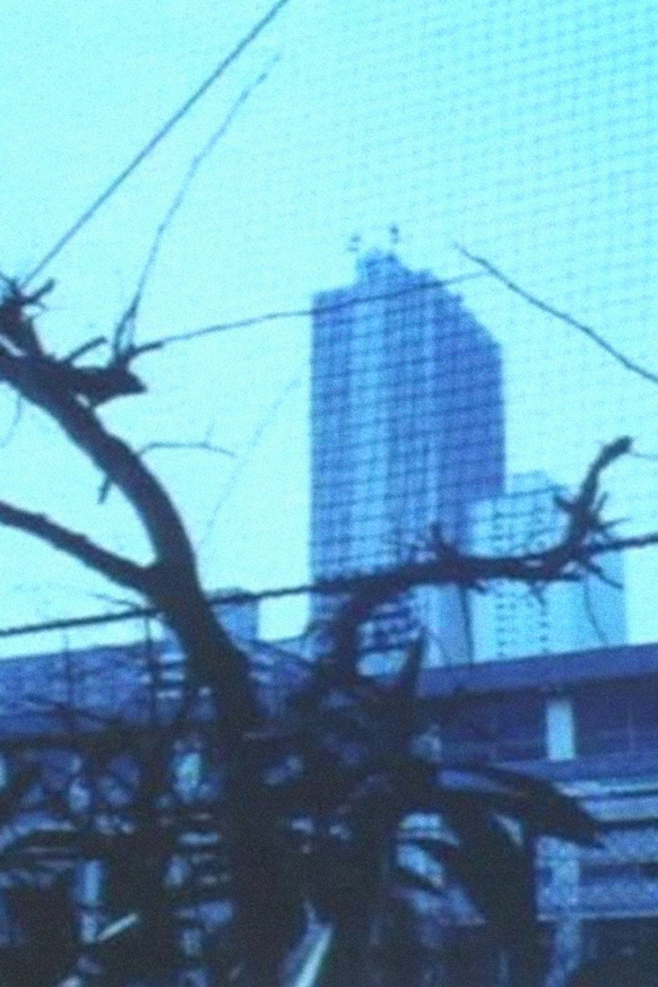 悪魔の回路図 filmaffisch