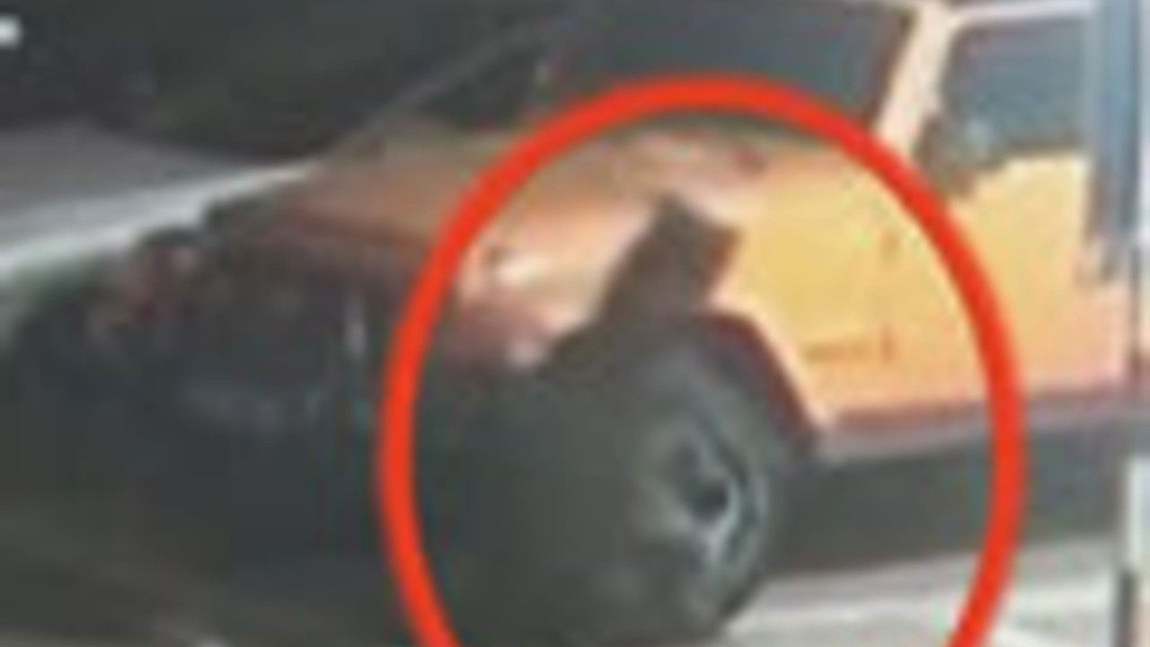 传奇故事 — Épisode 20