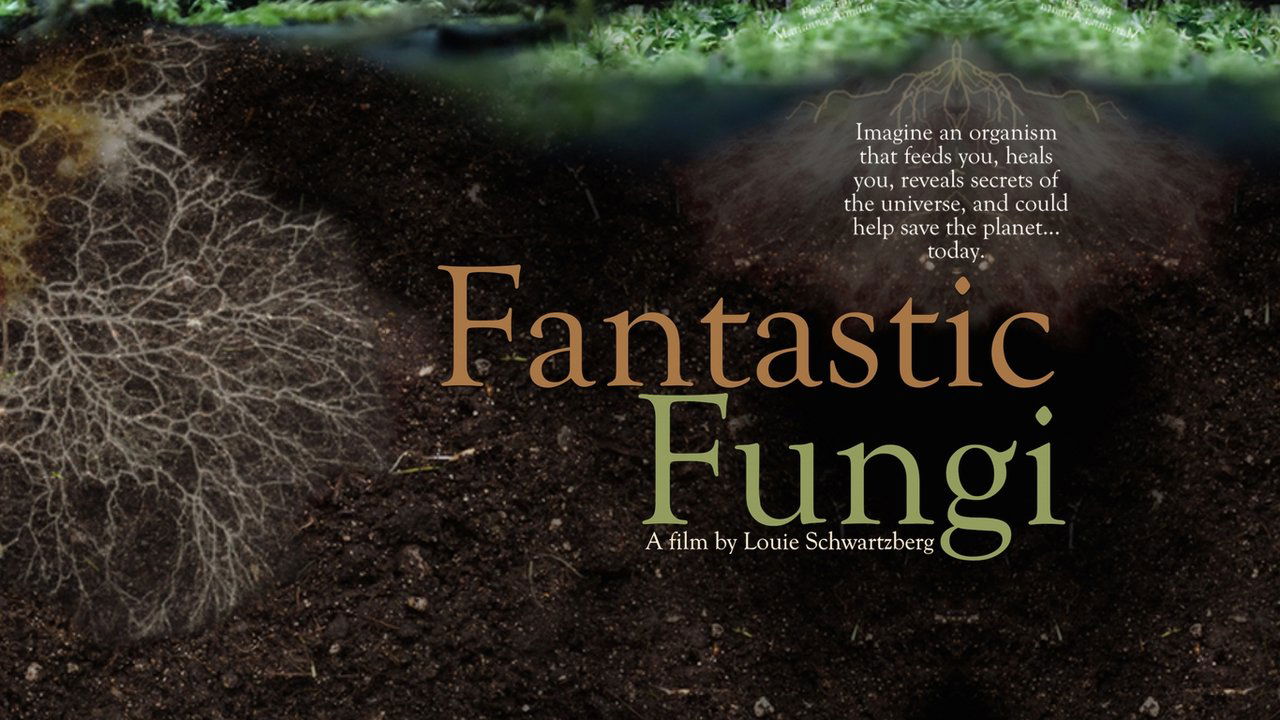 Fantastic Fungi Fantastic Fungi