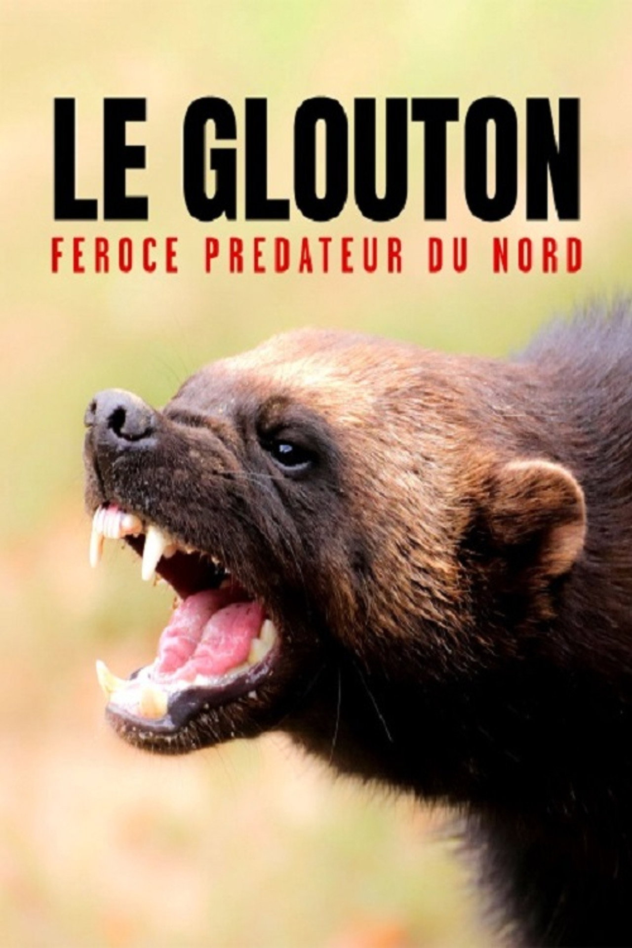 The Wolverine: Fierce Predator of the North poster