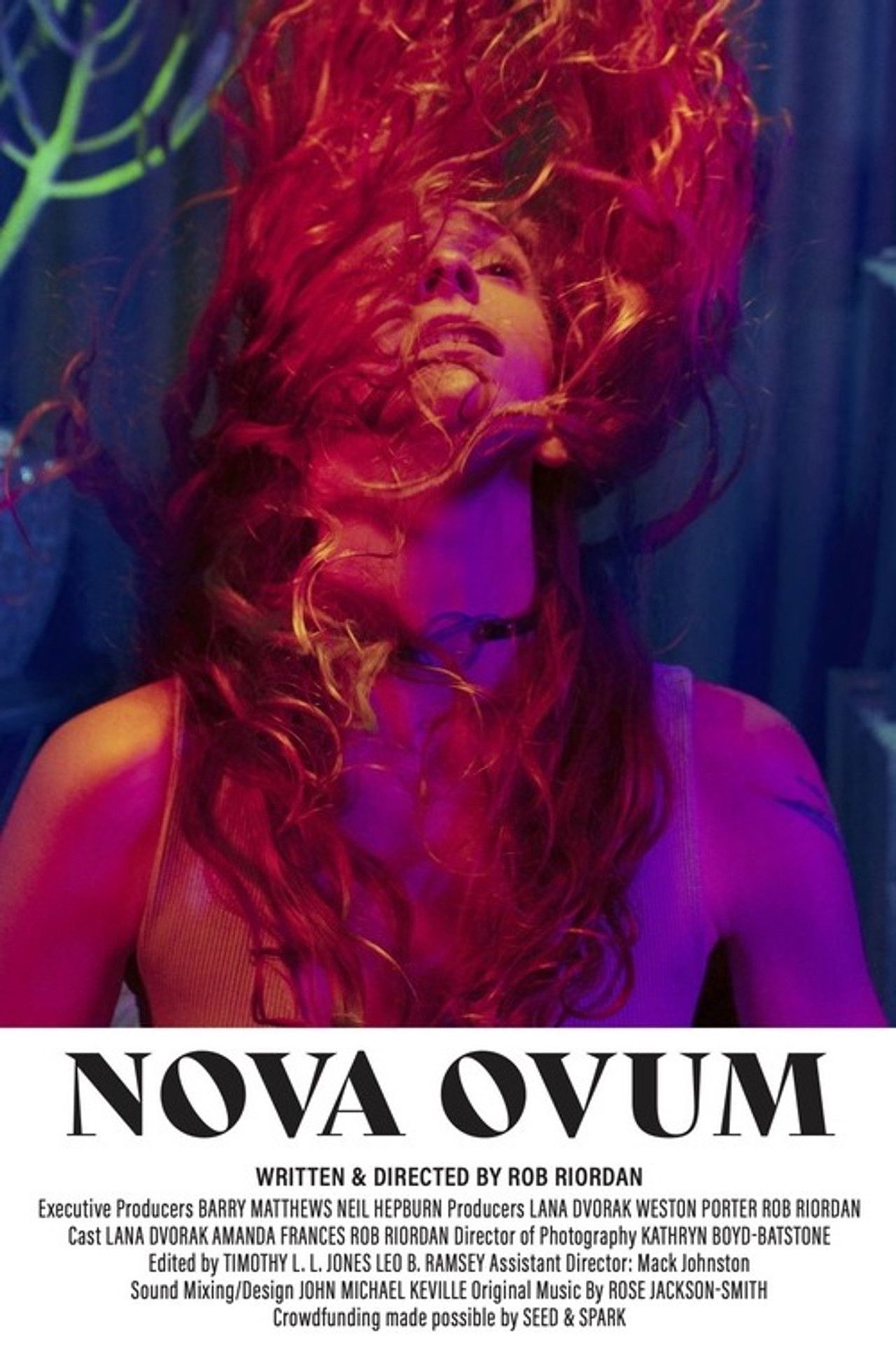 Nova Ovum Backdrop
