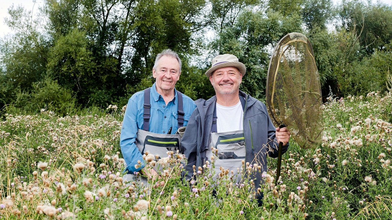 Mortimer & Whitehouse: Gone Fishing - Season 8 Episode 4 : Birley Lake and River Wye, Herefordshire - Perch