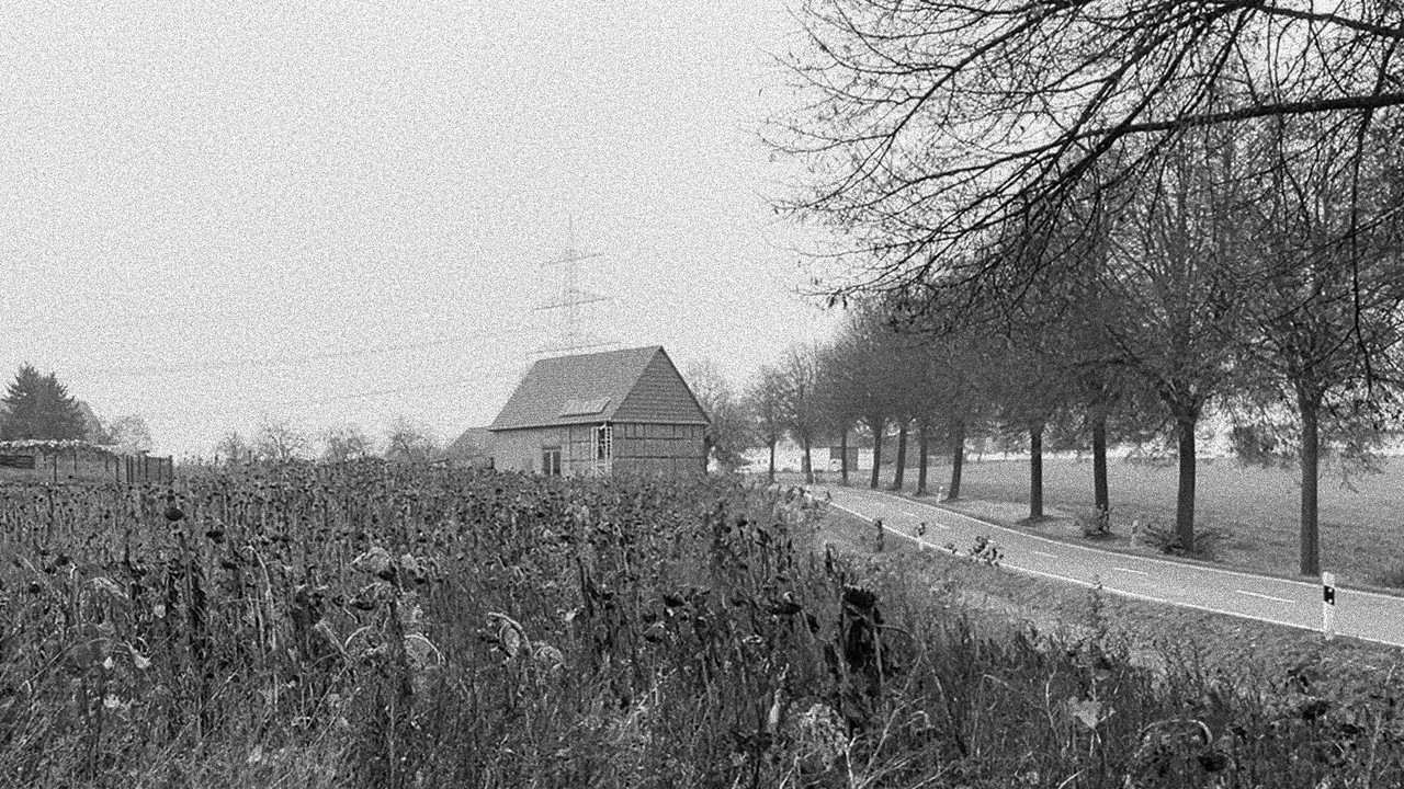 sie schaute in die ferne