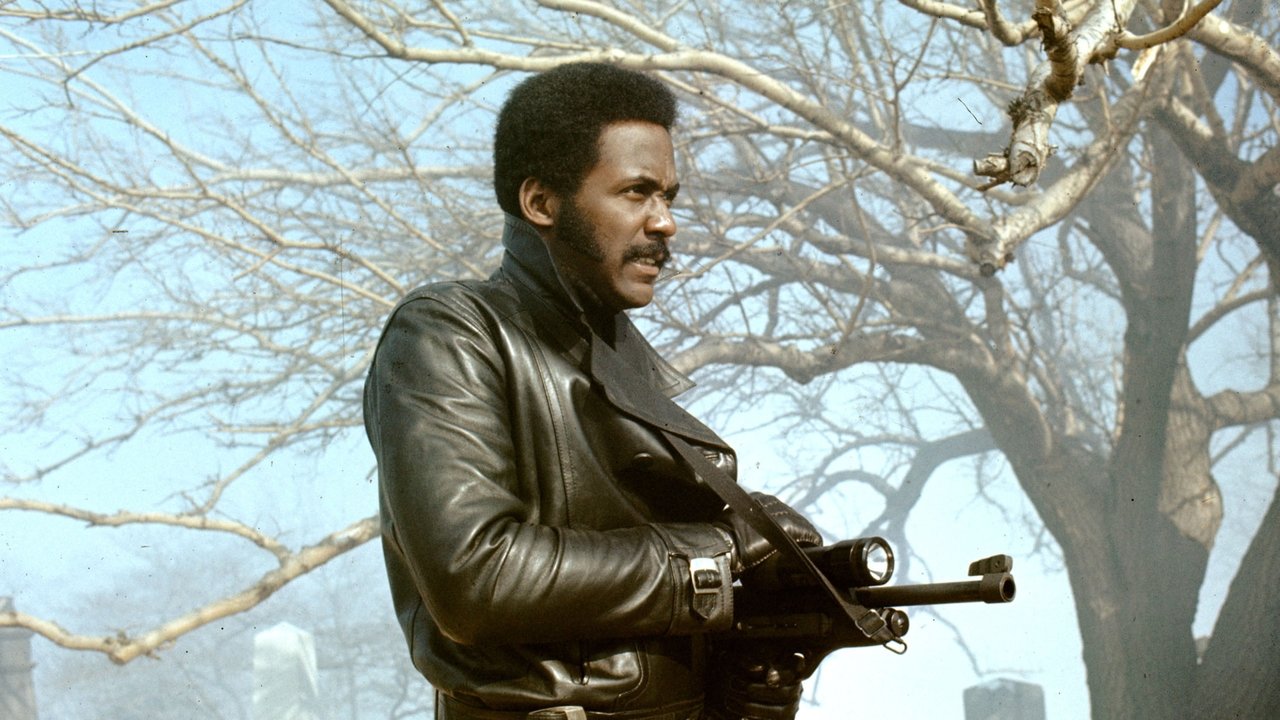 Shaft's Big Score! (1972)