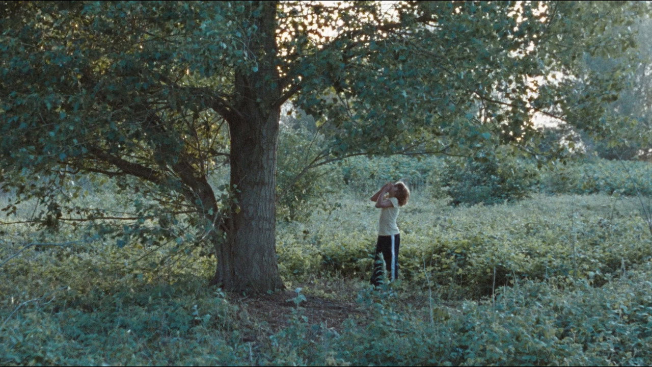 scenes 15