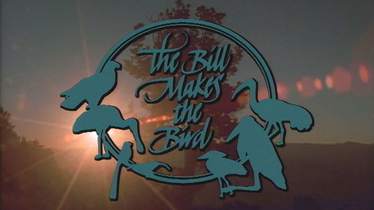 Marty Stouffer's Wild America — Épisode 10