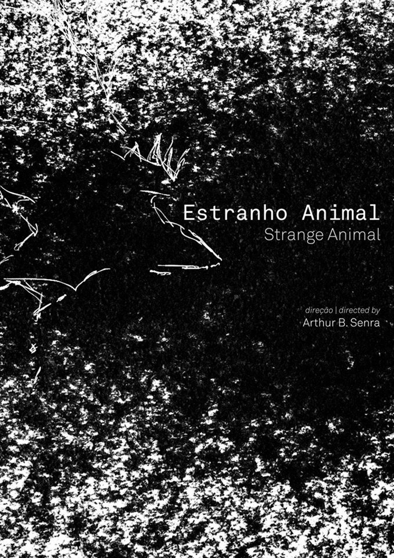 Estranho Animal filmaffisch