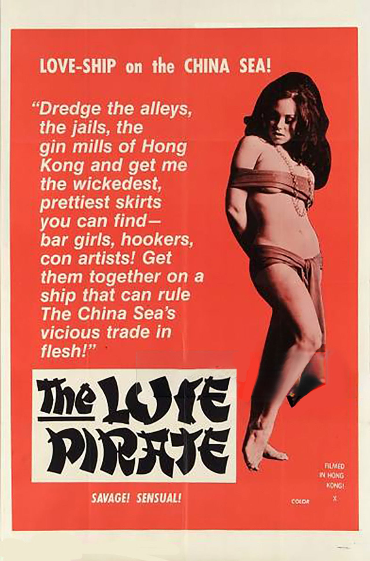 The Love Pirate Backdrop