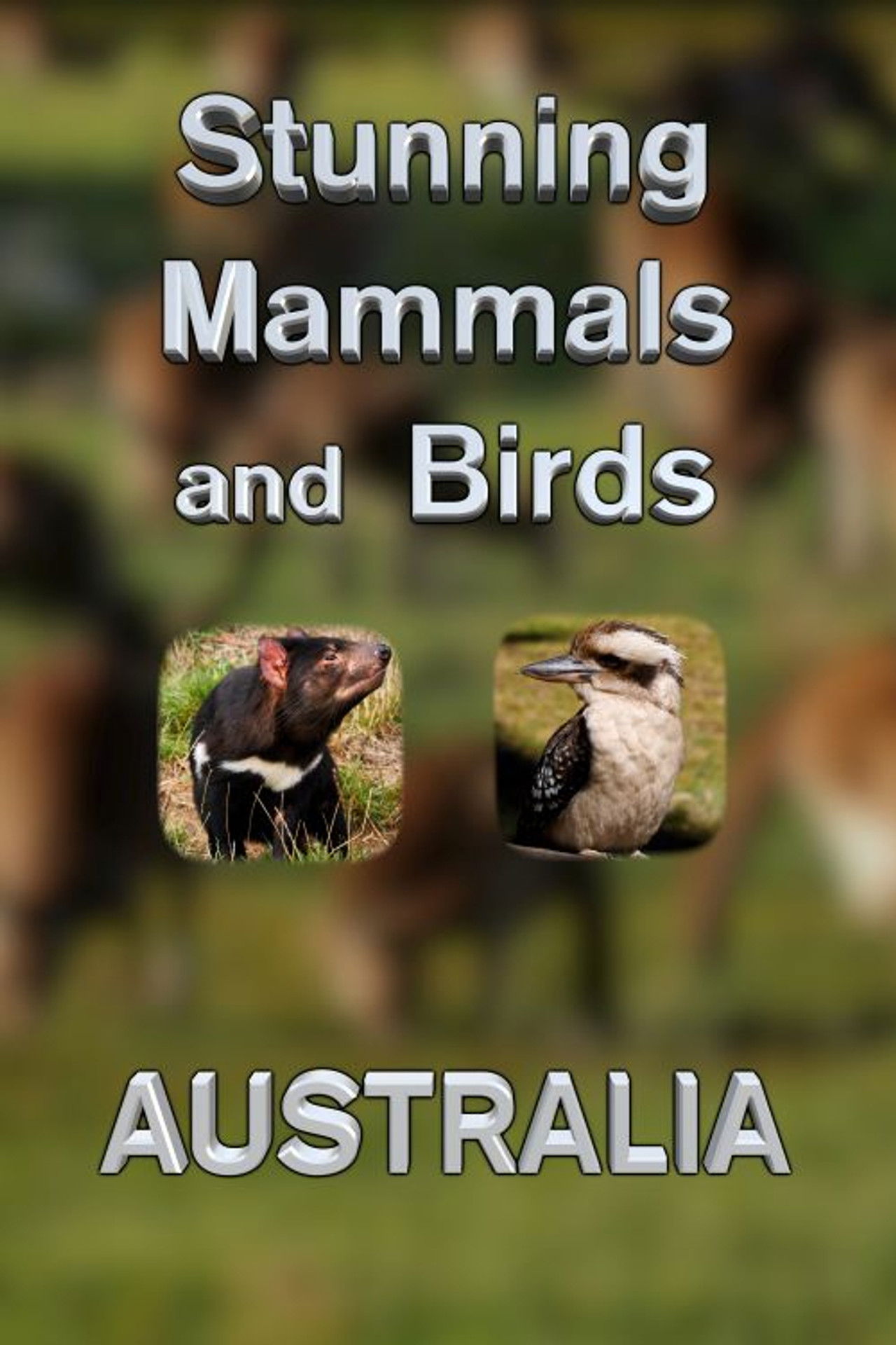 Stunning Mammals and Birds: Australia Backdrop