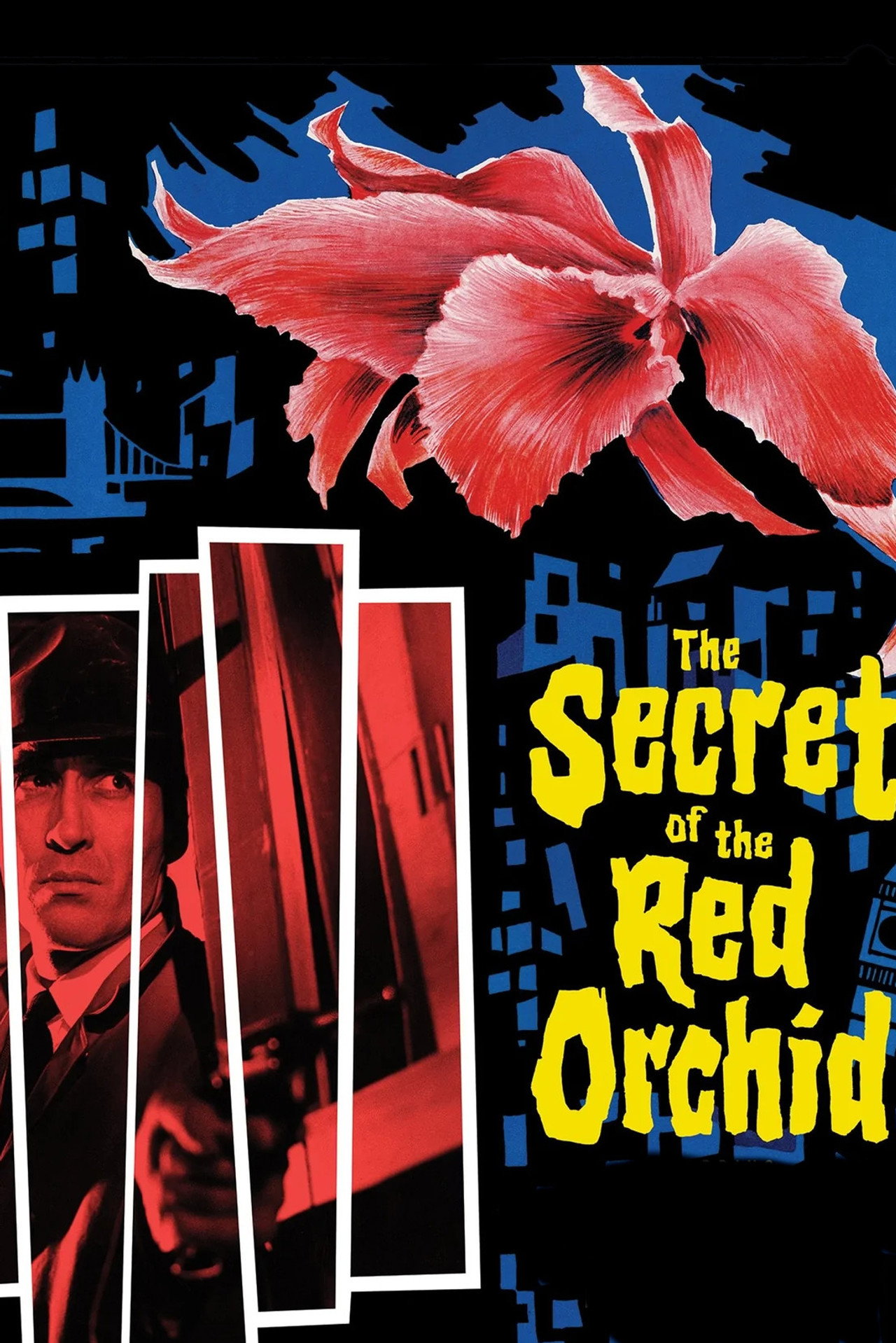 The Secret of the Red Orchid