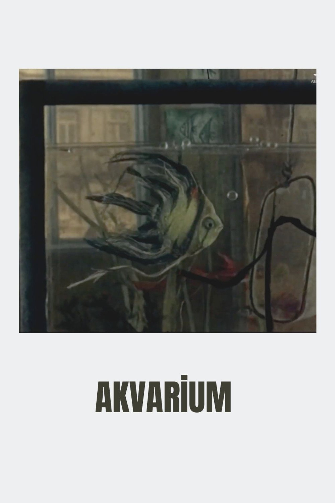 Aquarium