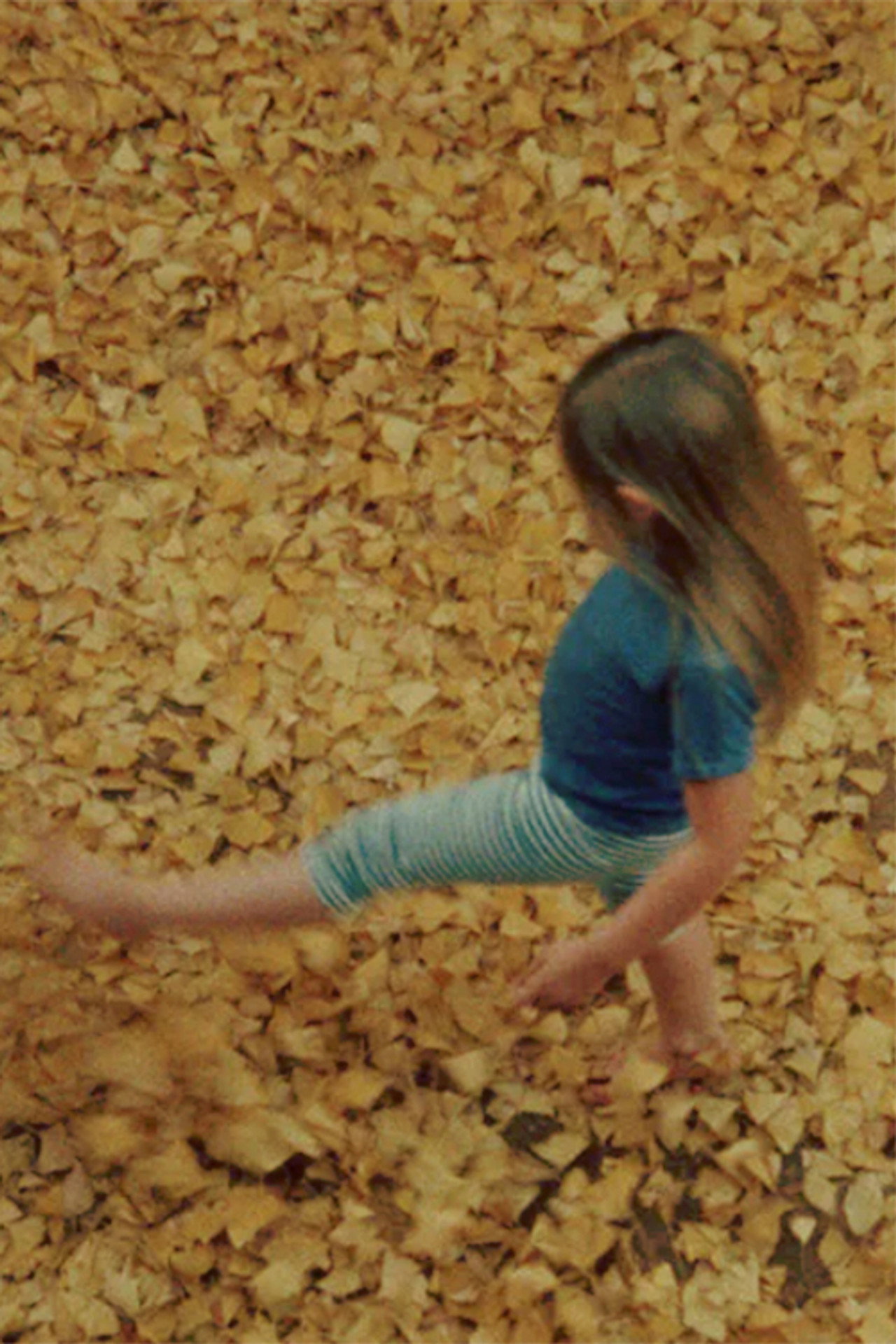 Ginko Yellow filmaffisch