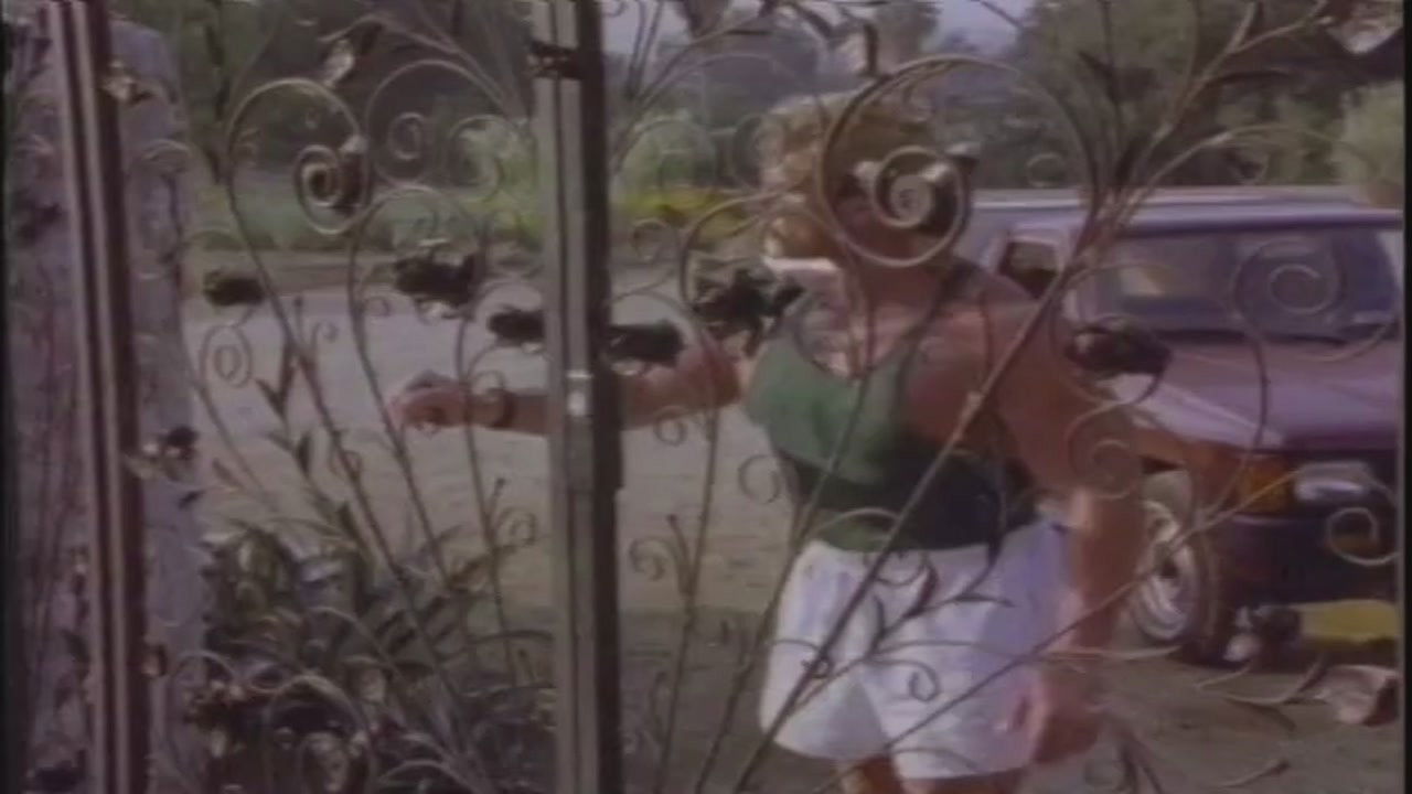 Cowboy Country backdrop