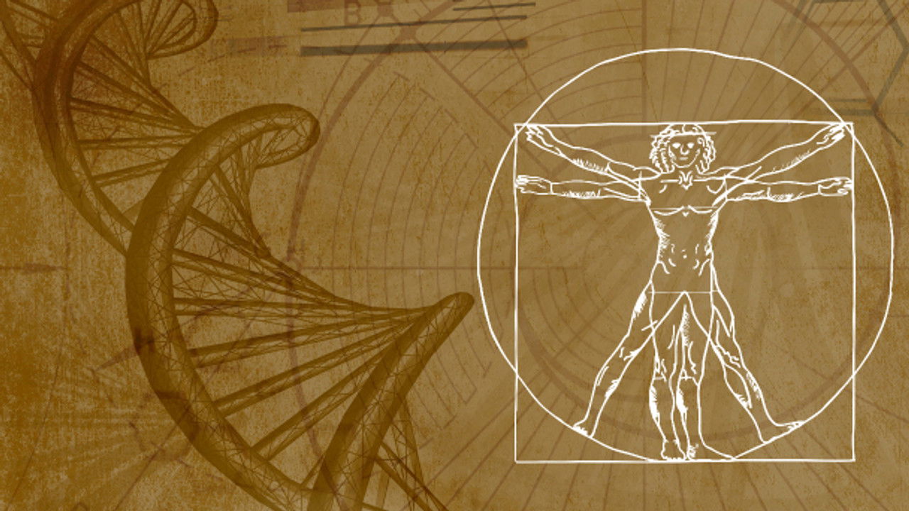 Inner Evolution — Épisode 5