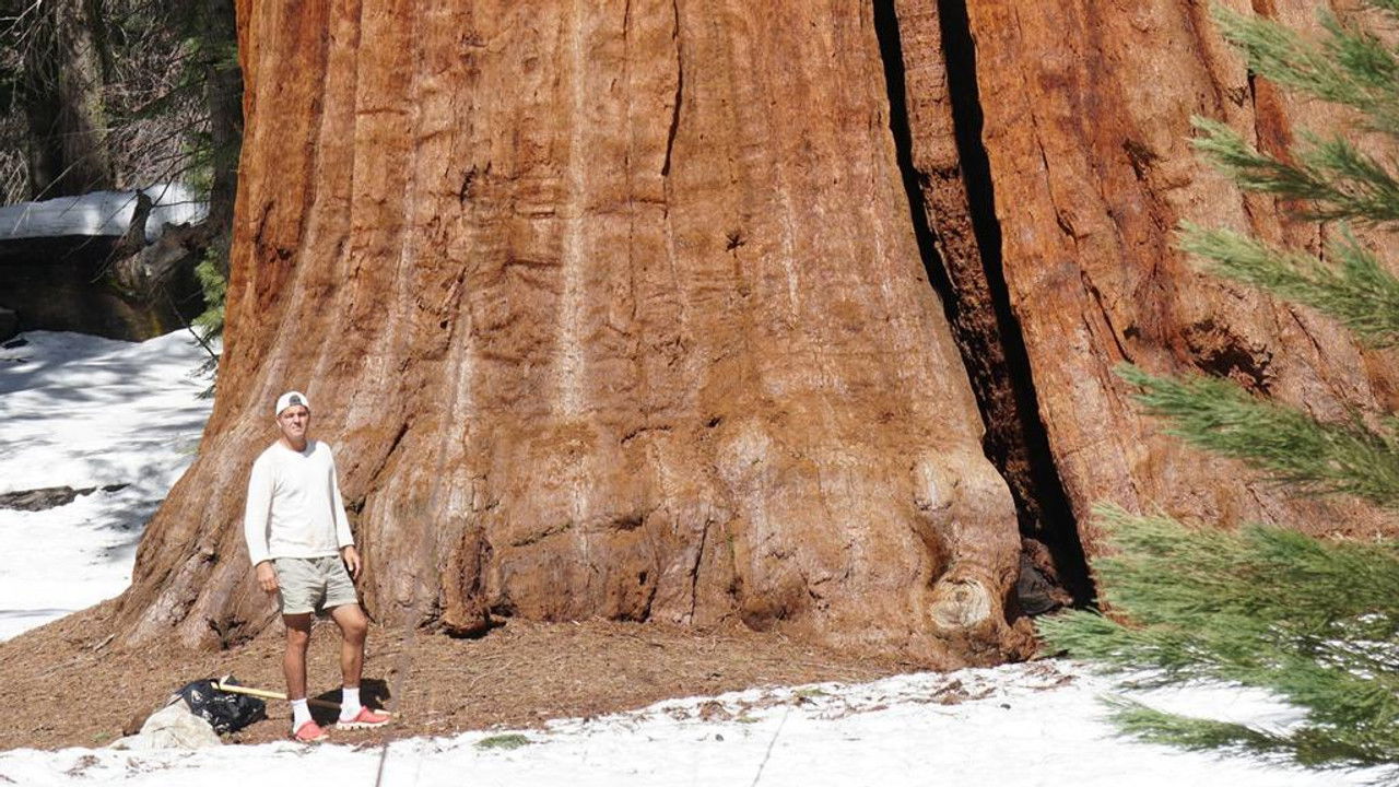 Wild Frank — Épisode 3