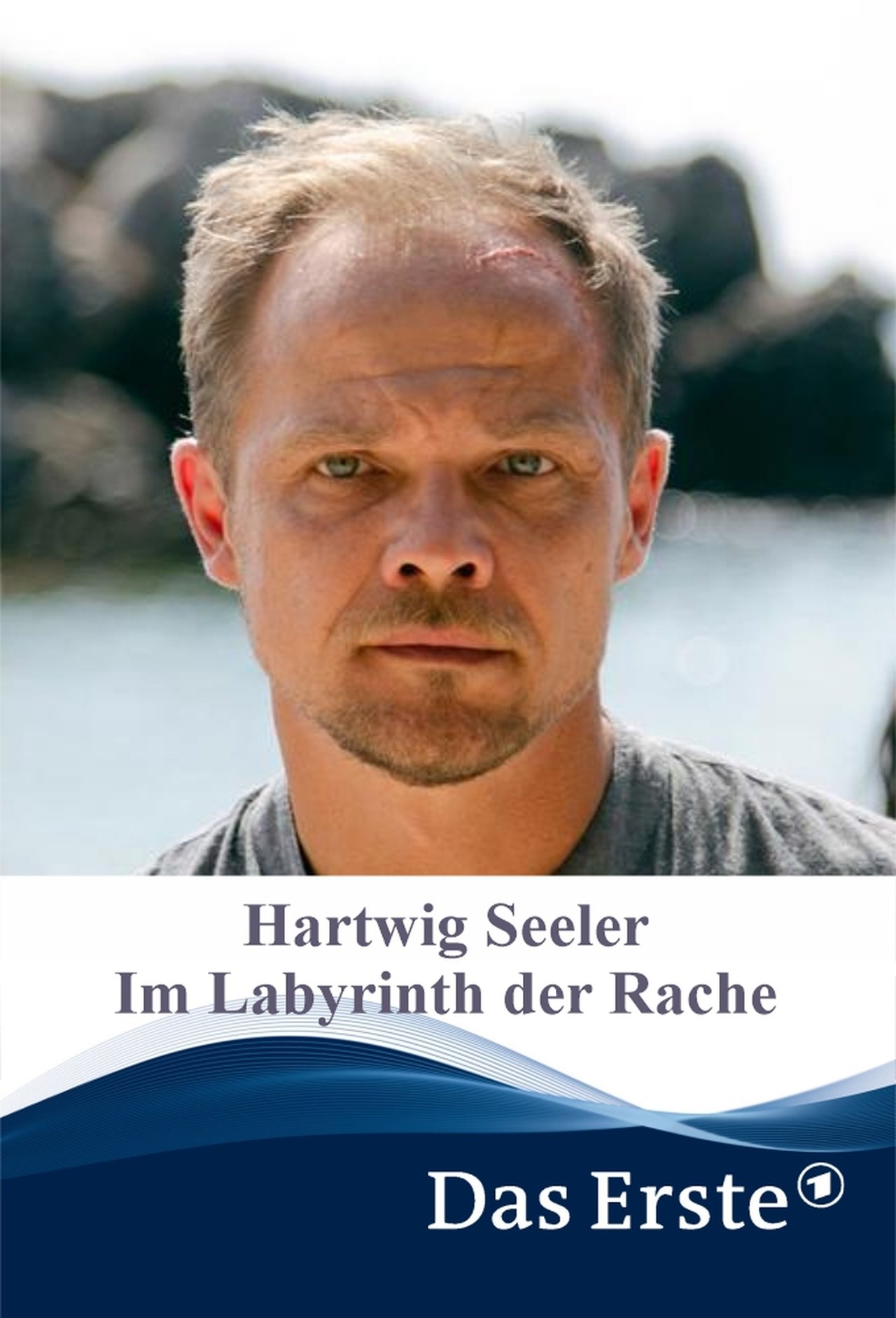 مشاهدة فيلم Hartwig Seeler – Im Labyrinth der Rache مترجم بدون اعلانات - بوستر