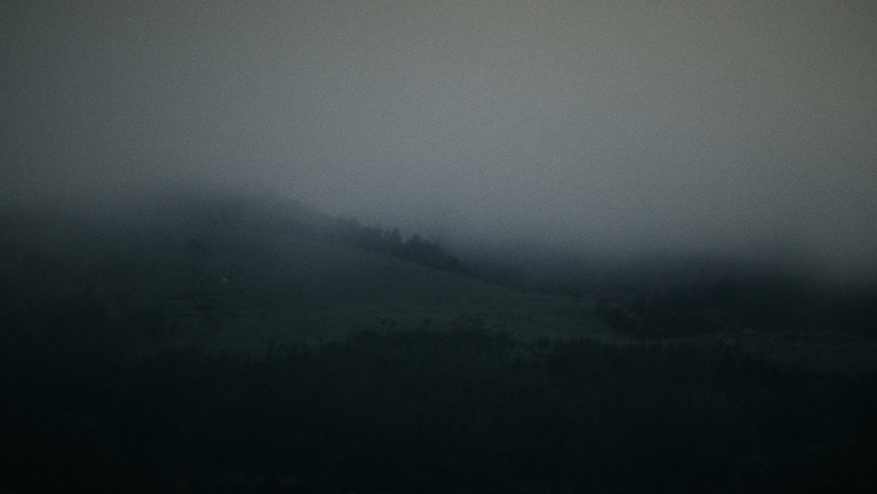 Nieblas still 4
