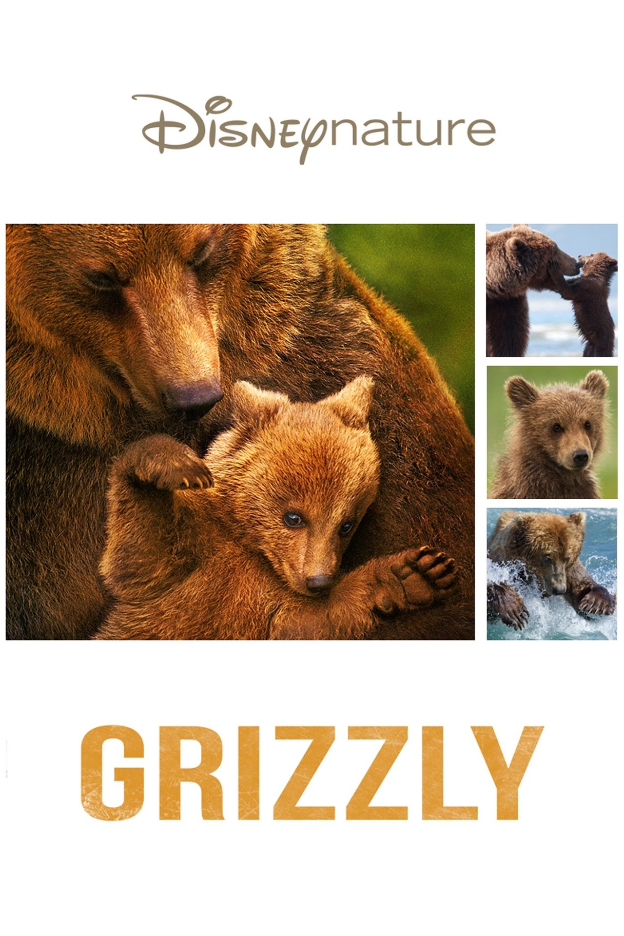 Grizzly poster