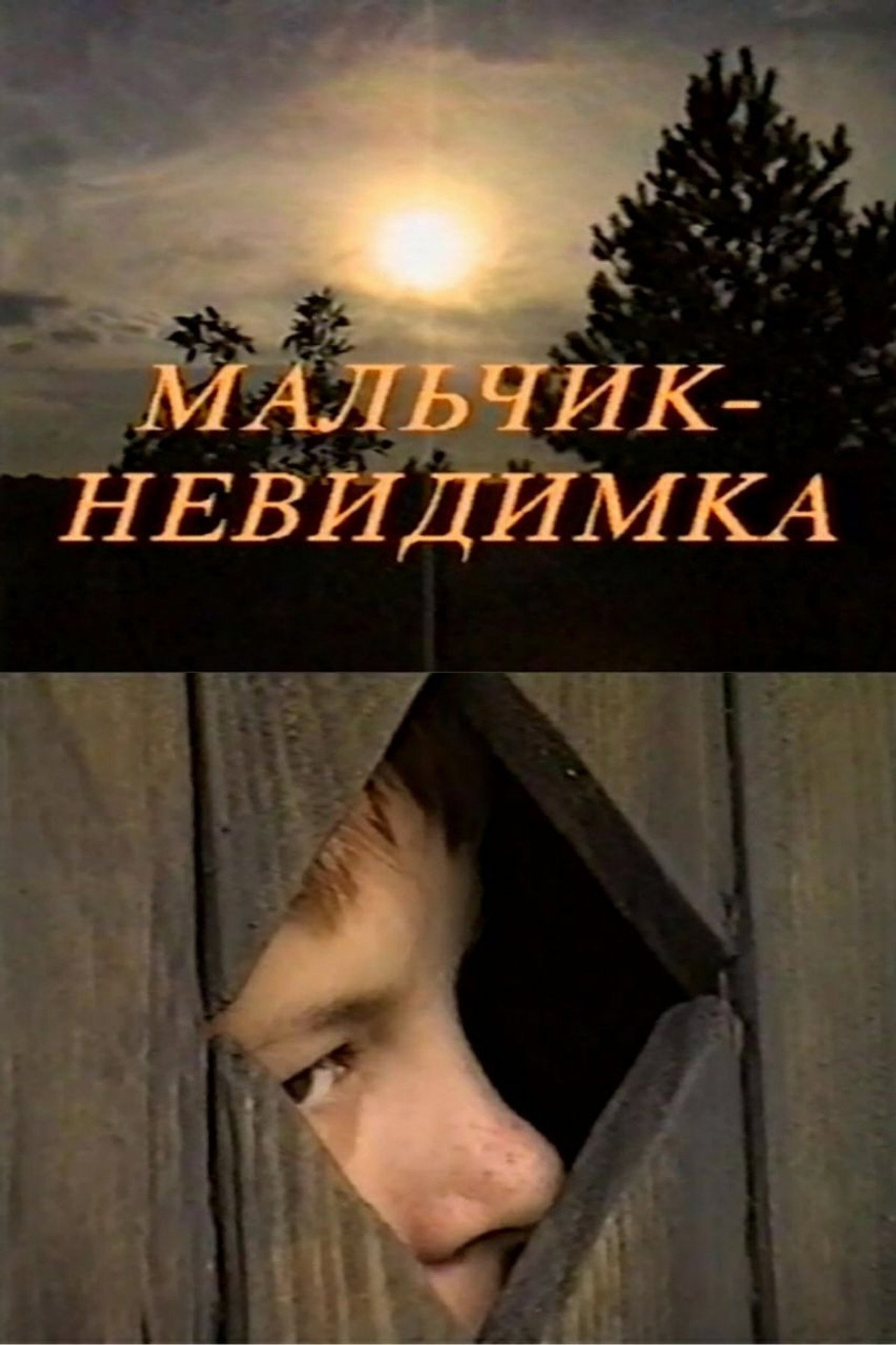 Мальчик-невидимка filmaffisch