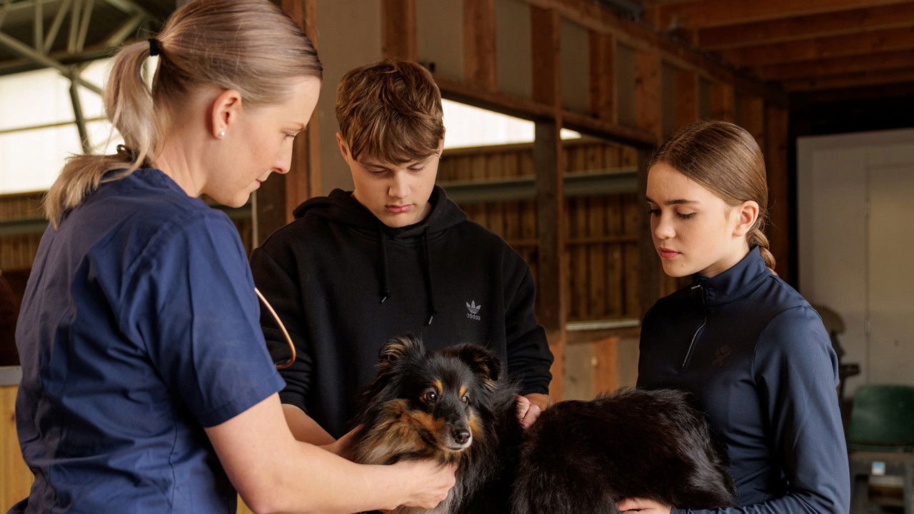 Supernormaalia — Épisode 7