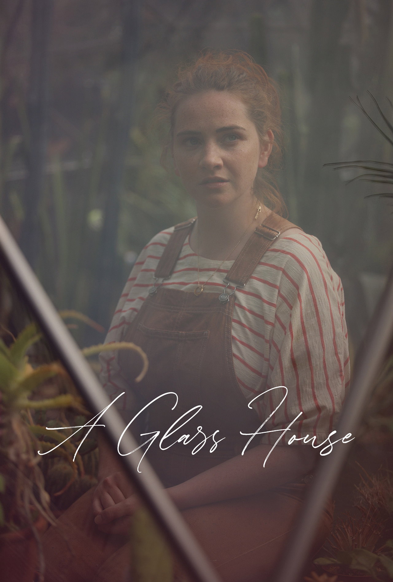 A Glass House Backdrop