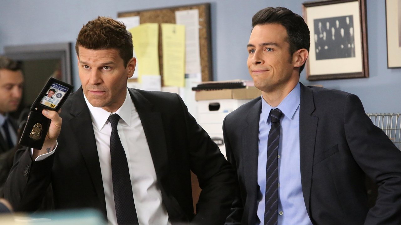 Bones - Season 11 Episode 11 : The Death in the Defense