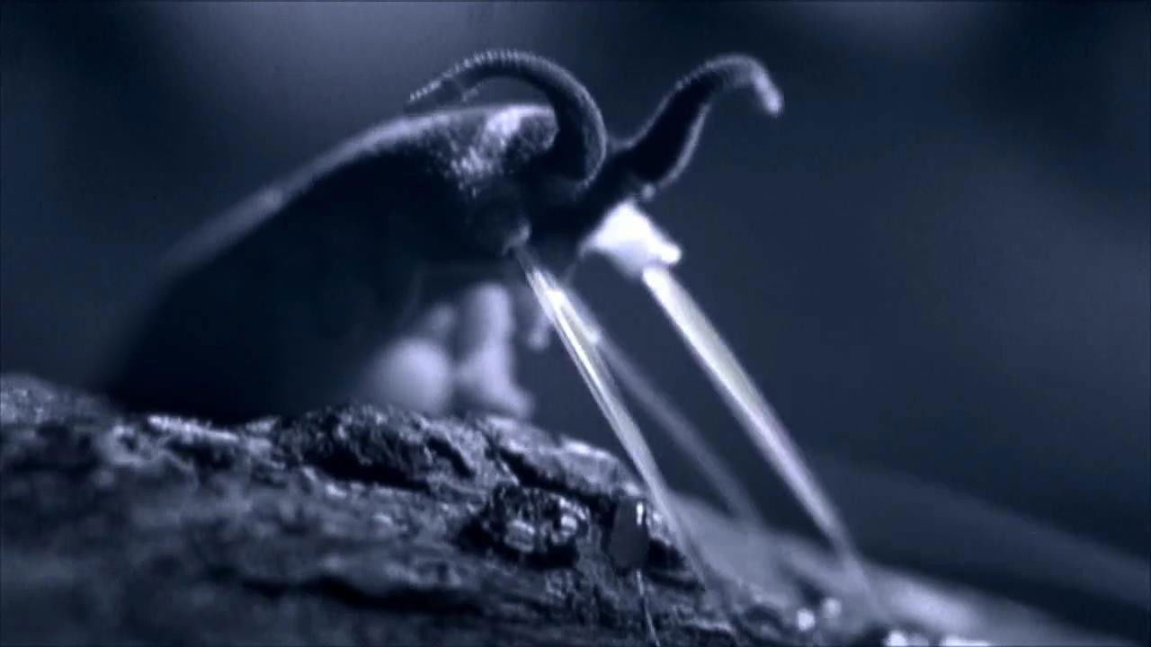 World's Weirdest — Épisode 2