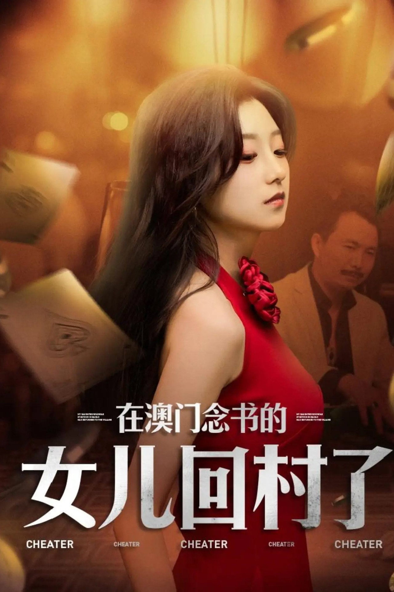 在澳门念书的女儿回村了 poster