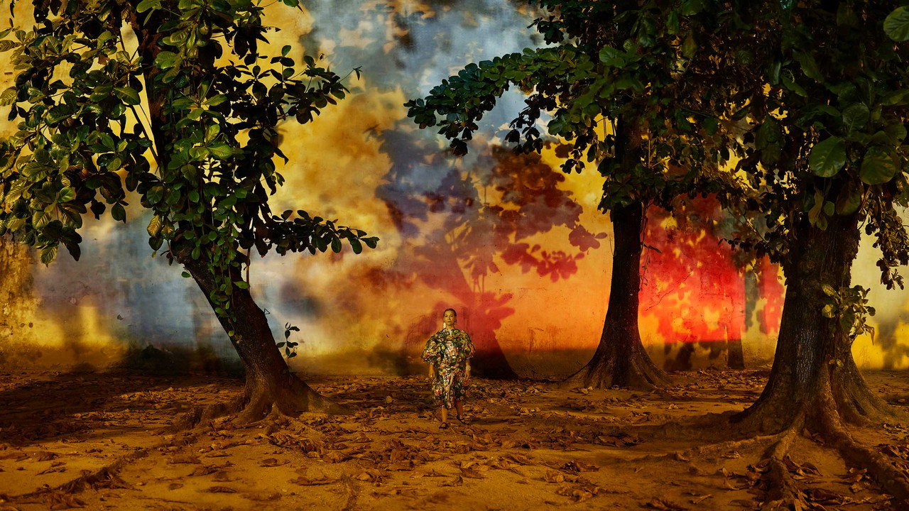 Obscuro Barroco still 8