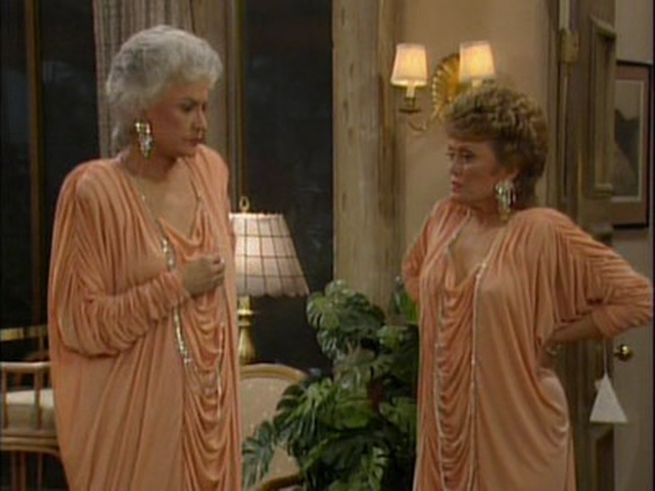 The Golden Girls - Season 3 Episode 12 : Charlie's Buddy