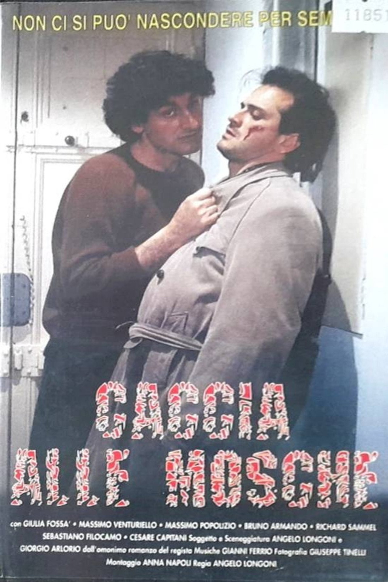 Caccia alle mosche