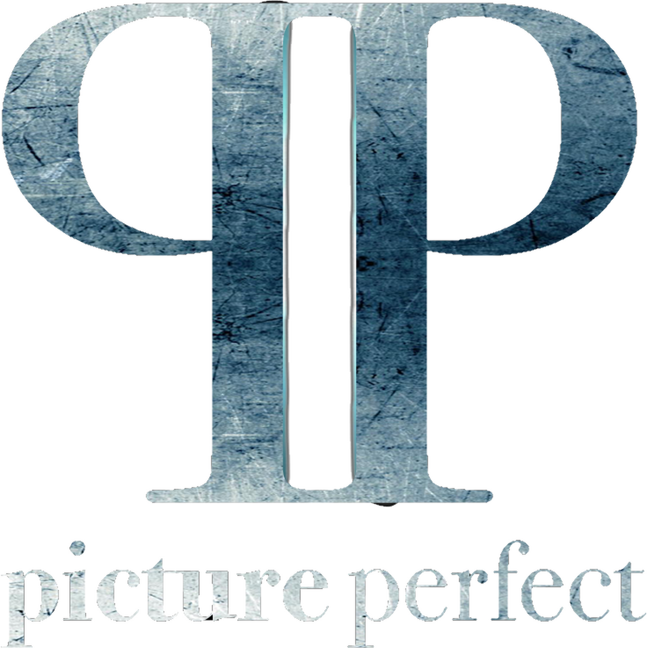 Picture Perfect