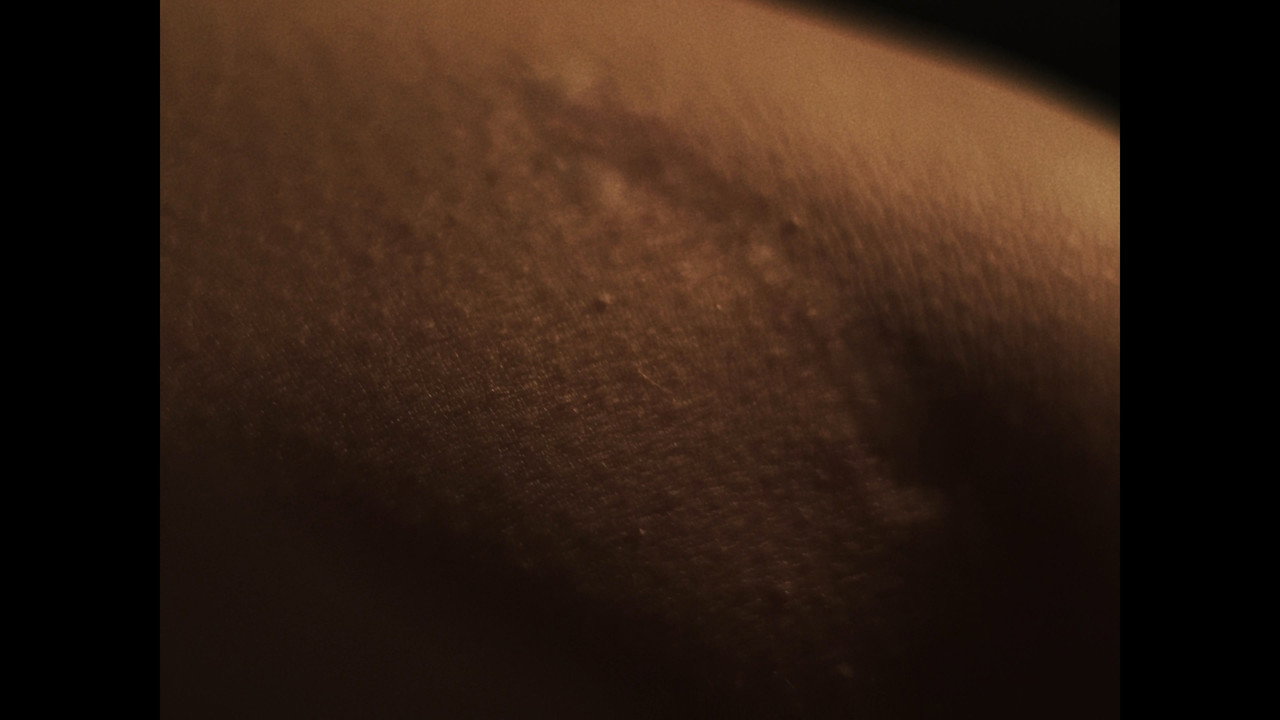 A study of the human body's marks and scars, where every unique trace becomes a point of connection, reflecting the shadows of the world around us.