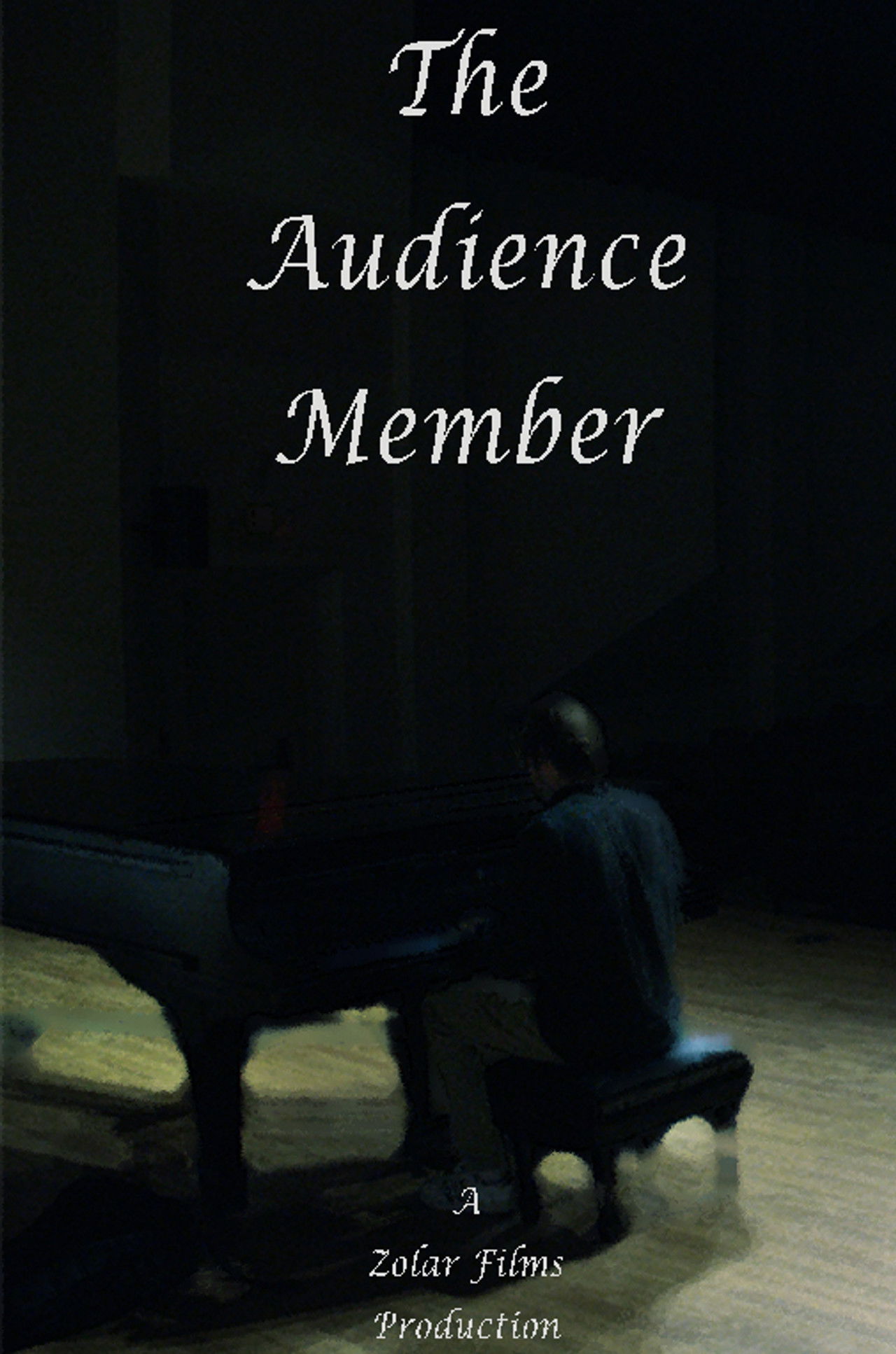 The Audience Member poster