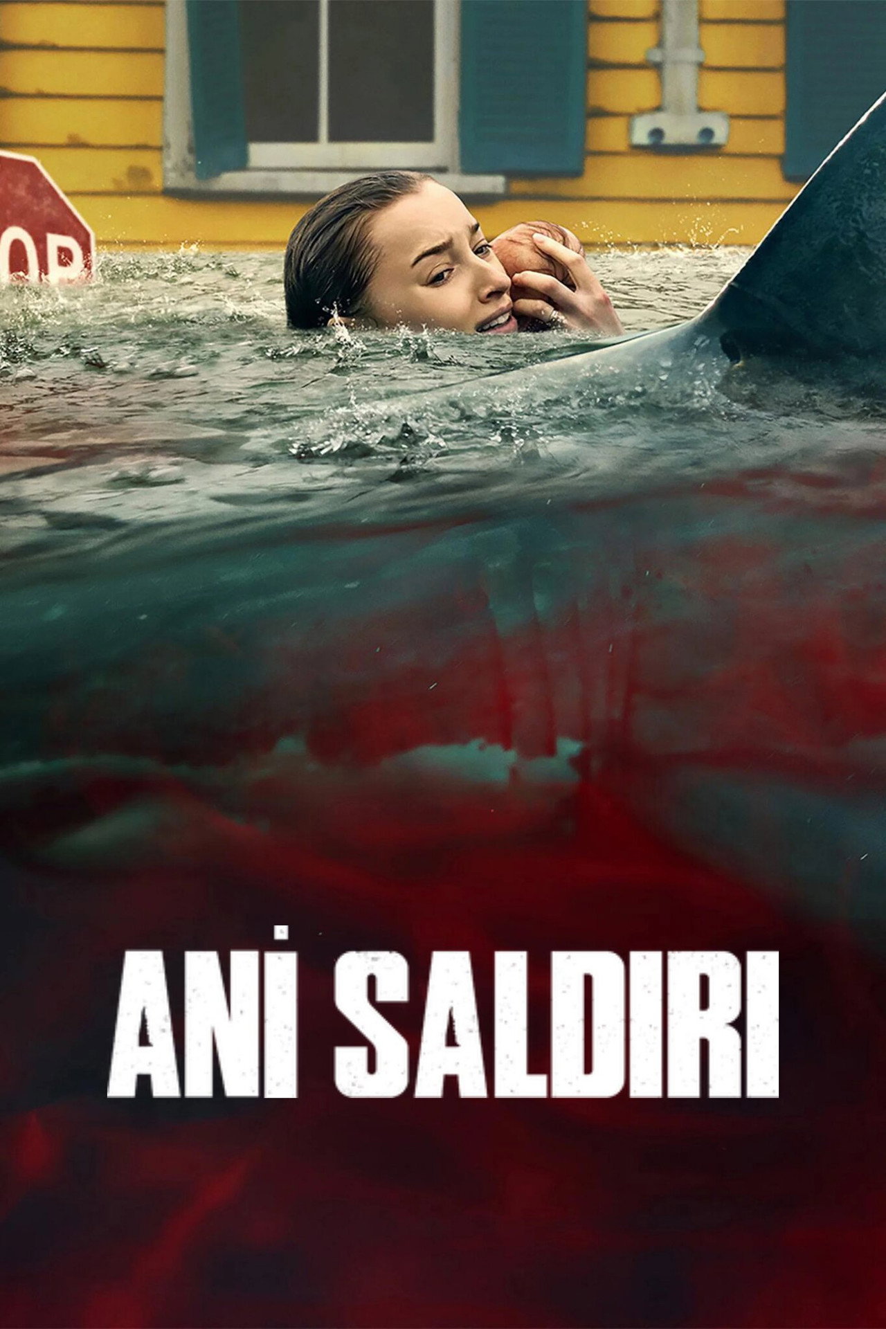 Ani Saldırı Poster