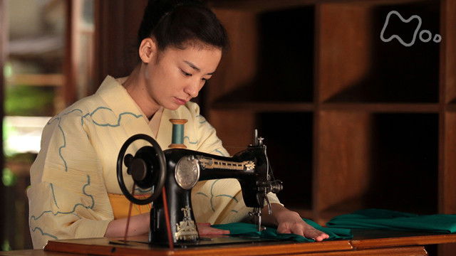 カーネーション backdrop