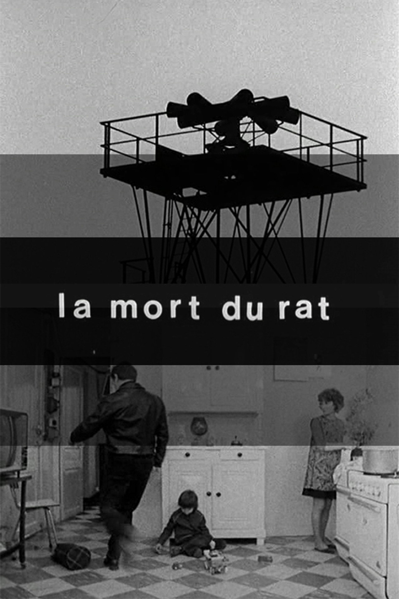 Death of the Rat