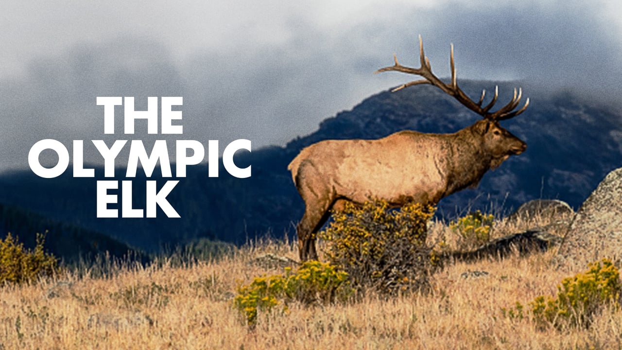 The Olympic Elk background