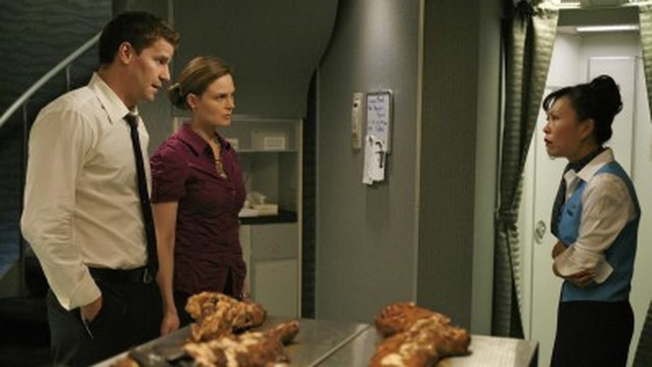 Bones - Season 4 Episode 10 : The Passenger in the Oven
