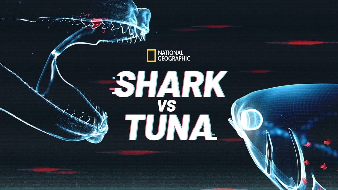 Shark Vs. Tuna background