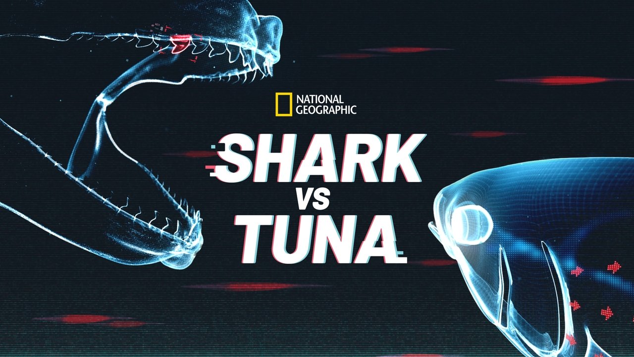 Shark Vs. Tuna background