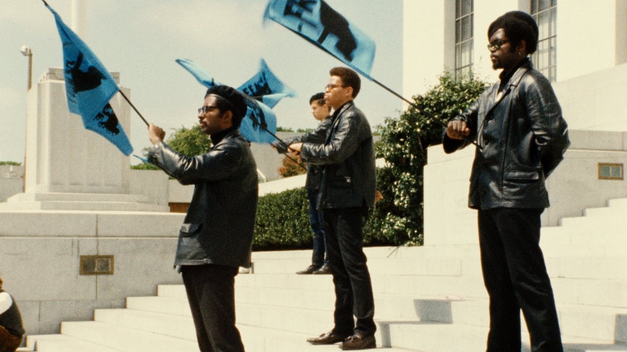 Black Panthers Backdrop Image