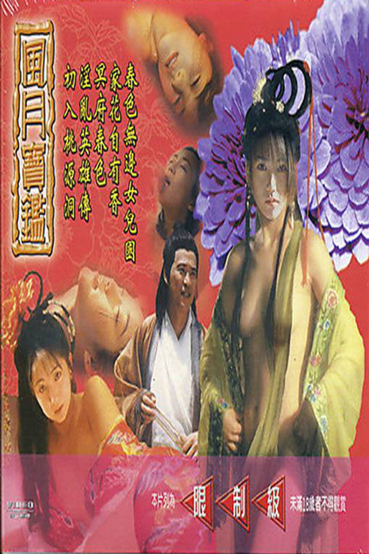 风月宝鉴之初入桃源洞 filmaffisch