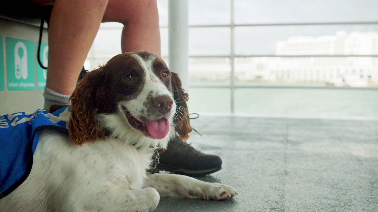 Dog Squad — Épisode 5