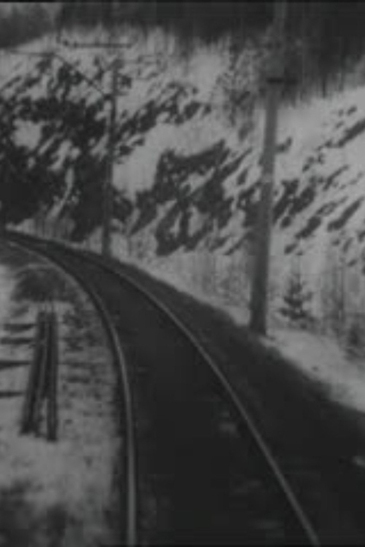 Прибытие поезда filmaffisch