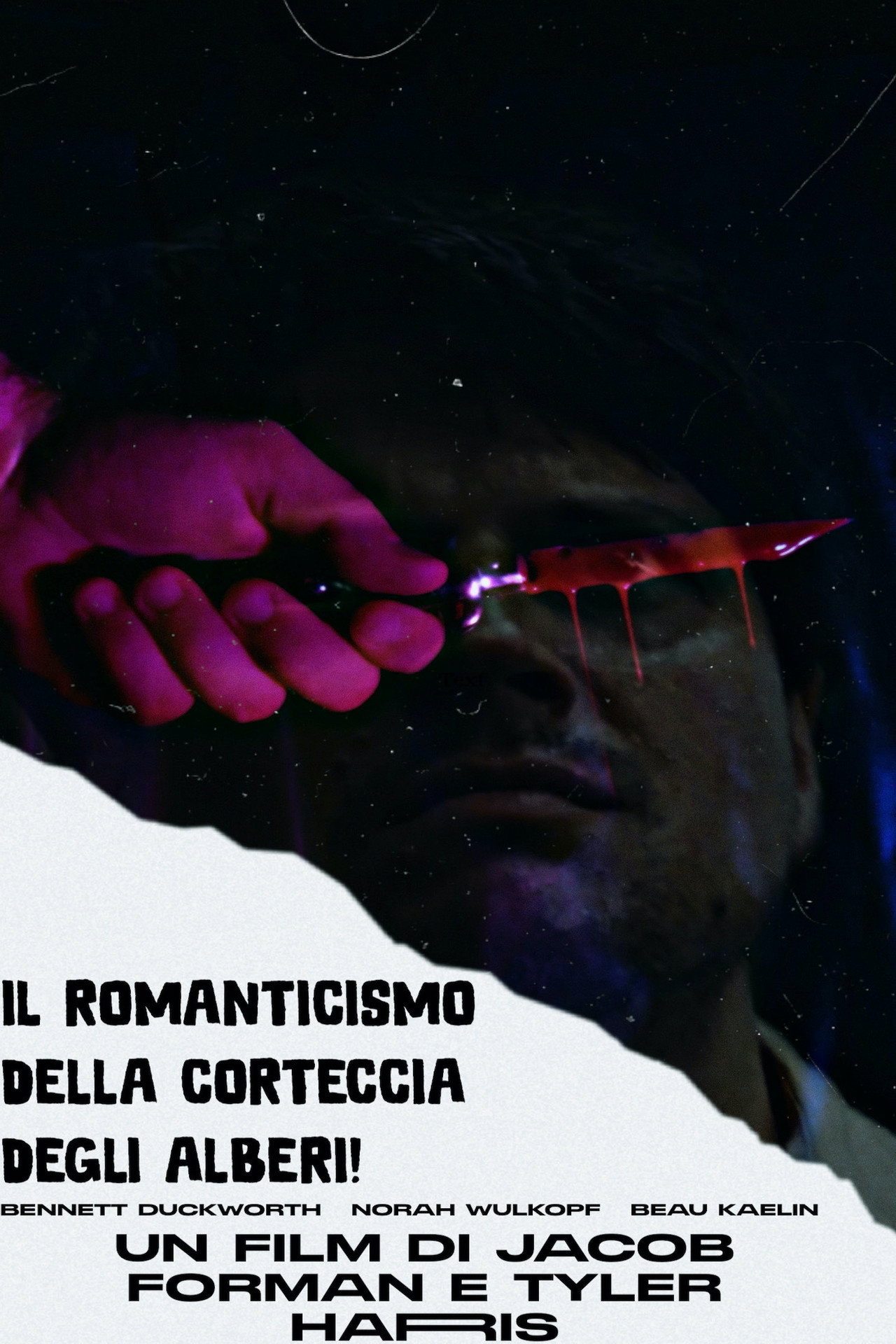 The Tree Bark Romance Backdrop