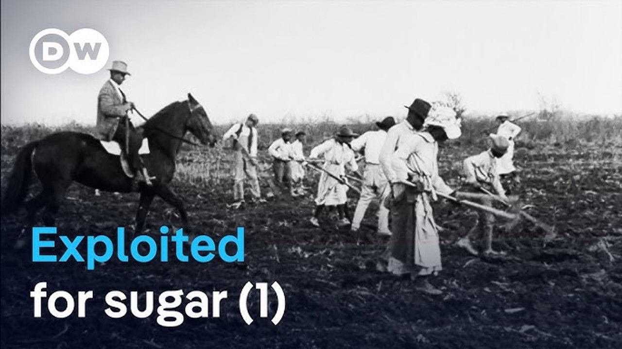 DW Documentary — Épisode 22