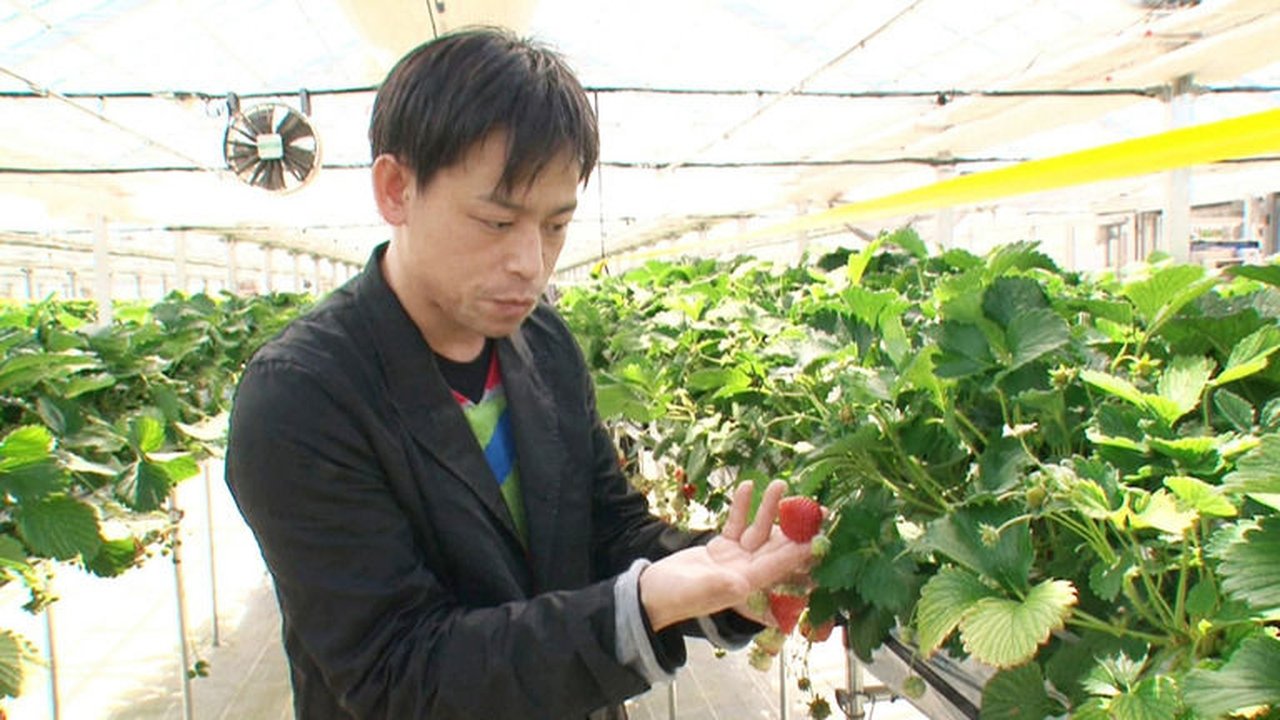 Global Branding Through Smart Farming