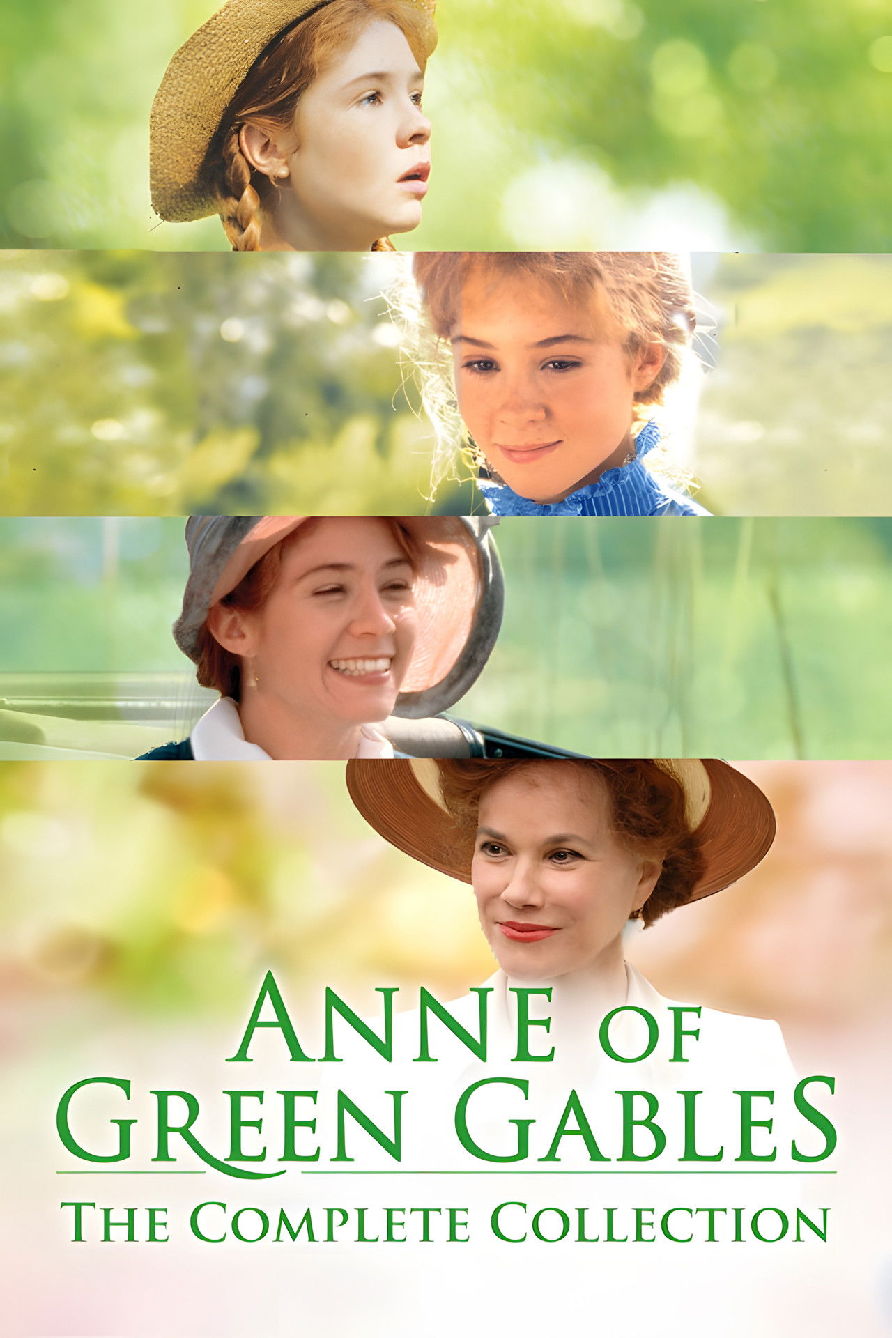 Anne Of Green Gables Collection