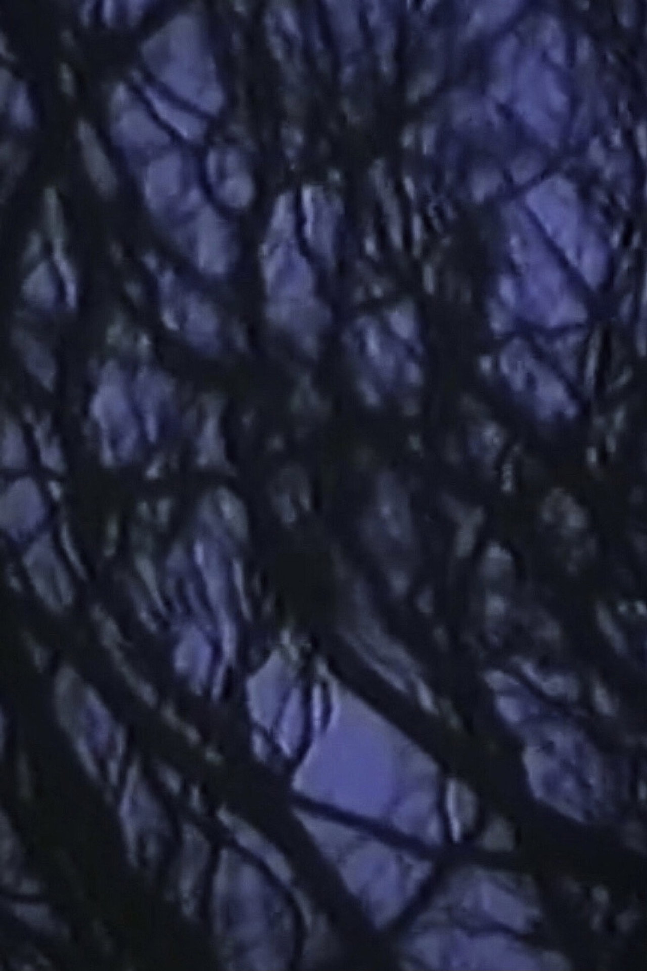 ランゲルハンス島の午後 filmaffisch